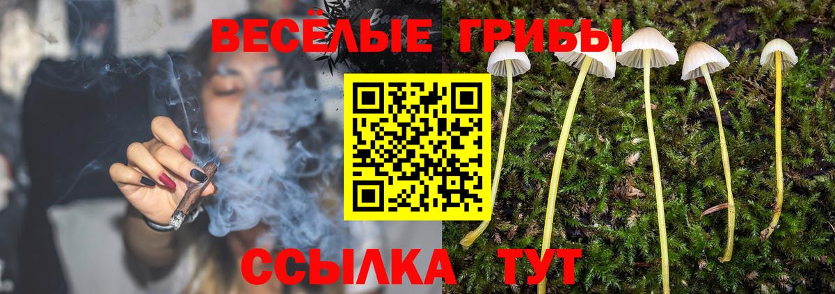 Великий Новгород  Псилоцибиновые грибы прущие грибы  Вход с VPN 