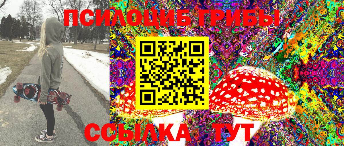Галлюциногенные грибы GOLDEN TEACHER Великий Новгород
